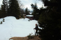 2016-03-30_Altlacher-Hochkopf_(1682).JPG