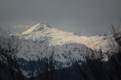 2016-03-30_Altlacher-Hochkopf_(1819)2.JPG