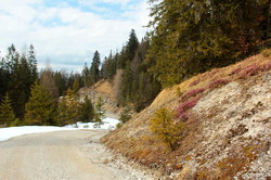 2016-03-30_Altlacher-Hochkopf_(1902)1.JPG