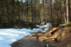 2016-03-30_Altlacher-Hochkopf_(1917).JPG