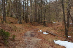 2016-03-30_Altlacher-Hochkopf_(1949).JPG