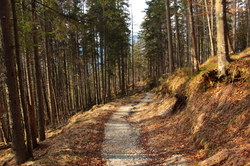 2016-03-30_Altlacher-Hochkopf_(1958).JPG