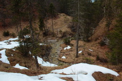 2016-03-30_Altlacher-Hochkopf_(1988).JPG