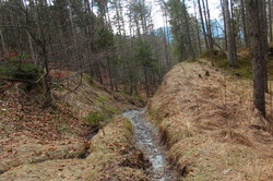 2016-03-30_Altlacher-Hochkopf_(1998).JPG