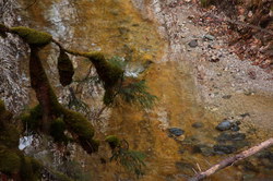 2016-03-30_Altlacher-Hochkopf_(2052).JPG