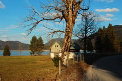 2016-03-30_Altlacher-Hochkopf_(2128).JPG