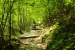 2014-07-06_Hoellentalklamm_(1051).JPG