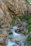 2014-07-06_Hoellentalklamm_(1175).JPG