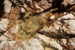 2014-07-06_Hoellentalklamm_(1222).JPG