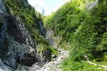 2014-07-06_Hoellentalklamm_(1225).JPG