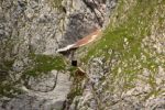 2014-07-06_Hoellentalklamm_(1271).JPG