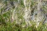 2014-07-06_Hoellentalklamm_(1294).JPG