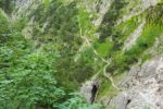 2014-07-06_Hoellentalklamm_(1351).JPG