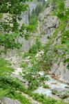 2014-07-06_Hoellentalklamm_(1390).JPG