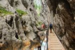 2014-07-06_Hoellentalklamm_(1452).JPG