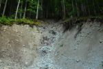 2014-07-06_Hoellentalklamm_(1516).JPG