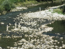 2007-05-29_Helmut-Steinbacher_Steinmanderl 09.JPG