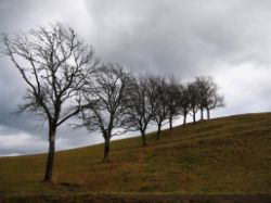 2007-05-09_Helmut-Steinbacher_Steinmanderl 05.JPG