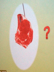 Foto - Rüdiger Dahlke - welches Fleisch wollen  wir essen?