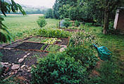 Der Garten blühte wunderprächtig - aber die Rehe fanden es auch nicht weniger schlecht .. :-)