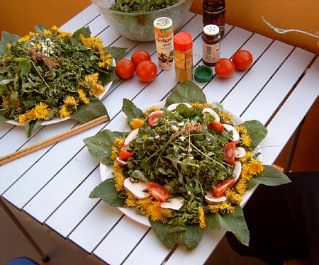 Regina Franziska Rau - Kräutersalat