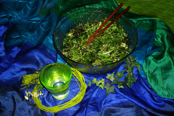 © Regina F. Rau: Rohost: Wald- und Wiesen-Kräuter-Salat 