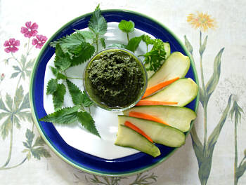 © Regina F. Rau: FRohkost - Brennessel-Dip