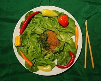 © Regina F. Rau: FRohkost - Paprika-Dipp für Salat