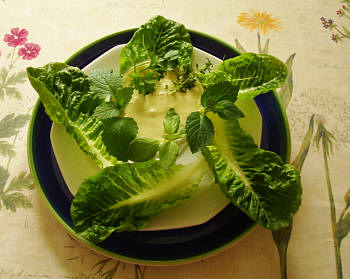 © Regina F. Rau: FRohkost - Mandelmayonaise mit Sonnenblumenöl