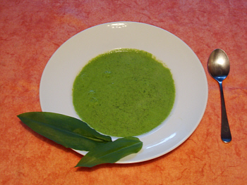 © Regina F. Rau: Spargel-Bärlauch-Brennessel Suppe