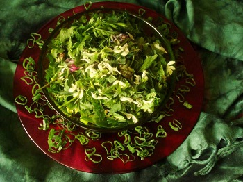 Regina F. Rau: Wiesenkräuter-Salat