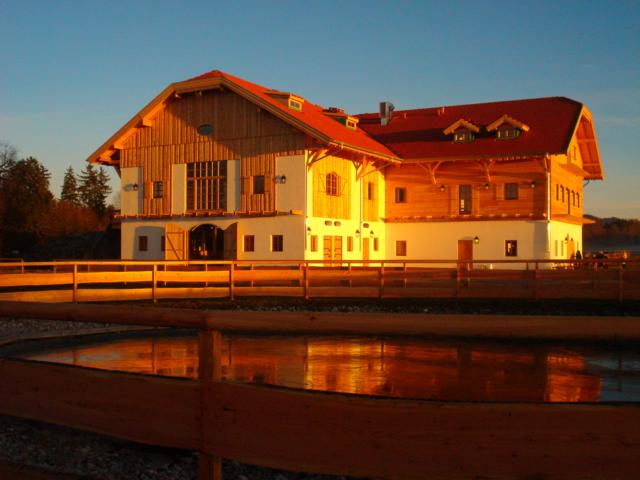 Foto: Regina Franziska Rau - Gut Aiderbichl in Stallach bei Iffeldorf - in der goldenen Glut der Abendsonne 