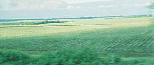 Windmühlen in Rumänien - © Regina F. Rau