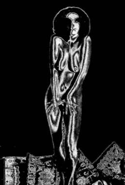 © Regina F. Rau: Body *Metallica'