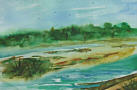 © Regina F. Rau - Wilde Natur an der Isar 1