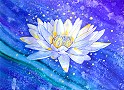 © Regina F. Rau - Leuchtender Lotus