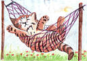 © Regina F. Rau - Kitty in der Hängematte