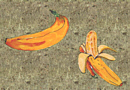 © Regina F. Rau: 'Bananen'