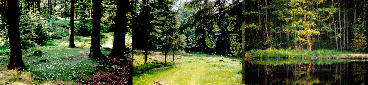© Regina F. Rau: Wellness-Hotel Sonnenwald: umgebende Natur 1