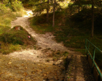 stille Wege und Gipfel mit Abendsonne und Fließnebel