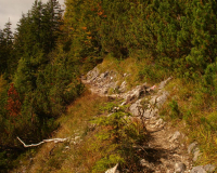 stille Wege und Gipfel mit Abendsonne und Fließnebel