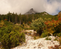 der Guffert strahlt in güldenen Farben