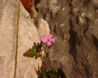 der Guffert strahlt in güldenen Farben