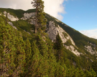 der Guffert strahlt in güldenen Farben