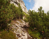 der Guffert strahlt in güldenen Farben