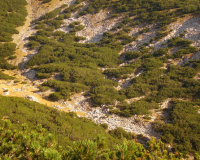 der Guffert glüht in der Abendsonne