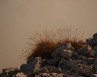 fröhliche Vital-Rohkost-Jause an der Guffertspitze