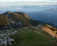 herrlicher Ausblick auf die Gipfel-Inseln im Nebelmeer