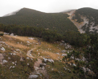 am Guffertstein (1963m)