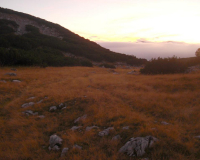 am Guffertstein (1963m)